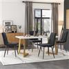 Dalred Set da Pranzo Moderno Classico (1 Tavolo da Pranzo Rettangolare con 4 Sedie in Grigio Scuro)