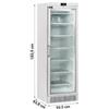Vetrina Freezer Verticale per Gelati e Semifreddi, 300 Litri, -15°C/-25°C, Bianca