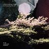 Johan Lindvall Trio No City, No Trees, No Lake (CD) Album