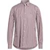PAUL & SHARK - Camicia a righe - Marrone