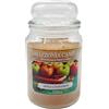 Amazzonia Candle Apple Cinnamon 530 Gr Candela Profumata Naturale in Cera di Soia doppio stoppino in cotone Profumatore per Ambiente Mela cannella Decorativa Giara in Vetro