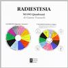 Psiche Libro - Gianni Toninelli - Nuovi Quadranti Di Radiestesia - Psiche