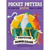 J.K. Rowling Professor Dumbledore (Copertina rigida)