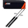 ATEC GERMANY 2x ammortizzatore posteriore a pressione di gas, compatibile con BMW Serie 3 (E46), 3 Cabrio (E46), 3 Compact (E46), 3 Coupé (E46), 3 Touring (E46)