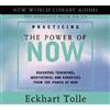New World Library (Practicing the Power of Now: Essentials Teachings, Meditations, and Exercises from the Power of Now) By Tolle, Eckhart (Author) compact disc on 19-Mar-2003