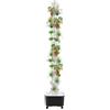 CuCummoo Torre Idroponica Verticale Da Giardino Con 70 Fori, Sistema Di Coltivazione Senza Terra Multistrato, 210 Cm Di Altezza, Materiale In Polipropilene, Nero E Bianco