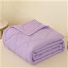 Highdi Piumino Estivo Matrimoniale, Microfibra Extra Morbido Trapunta Matrimoniale, Bedding Piumino, Piumone Leggero per Tutte Le Stagioni (Viola,200x230cm)