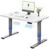 FLEXISPOT Scrivania Regolabile in Altezza Elettrica a 3 Sezioni con 2 Motori, 120×60 cm Piano Unico da 25 mm Certificato FSC, Controller a 4 Memorie, per Casa e Ufficio