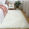 Highdi Colore Caramella Tappeto Salotto Moderno Tappeto Shaggy a Pelo Lungo Tappeto Camera da Letto Soffice Antiscivolo Lavabile Tappeti Moderni per Soggiorno, Camera da Letto (80x160cm,Bianco)
