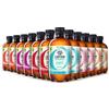 The Gutsy Captain Kombucha ZERO - Te Kombucha, ZERO zucchero, ZERO calorie, Raw Vegan - 12 x 400 ml (MixBox)