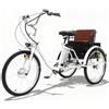Generic Triciclo elettrico per adulti, 61 cm, 36V 13Ah, portata massima 204 kg, con sedile posteriore e cestino multifunzionale.