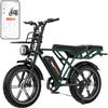 RCB G19 Fat Bike Elettrica 20 Pollici Adulti Batteria Rimovibile 48V 22,5Ah