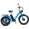 Generic Triciclo elettrico da carico per adulti e anziani, cestino resistente da 200 kg, comodo da guidare per fare la spesa e per l'esercizio fisico.