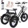 Generic Triciclo Eléctrico de Carga para Compras Adulto Todoterreno, Carico 200Kg, Batería Extraíble 48V/12Ah, Neumáticos Anchos 20 X4.0, Cesta + Asiento Trasero, Ideal para Compras