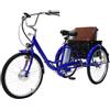 Generic Triciclo elettrico da carico per adulti, ruote da 24 pollici, batteria al litio da 36 V 12 Ah, doppia assistenza (umana e elettrica), cestino posteriore multifunzionale, portata massima 150 kg.
