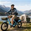 Generic Elektrisches Erwachsenen-Dreirad E-Bike 18, entfernbarer 48V 13Ah Akku 35-40km Reichweite, Scheibenbremsen, 3 Fahrmodi, LED Display, Einsteigen Leicht, max. Traglast 30kg