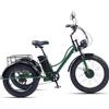 Generic Triciclo elettrico da carico, robusto triciclo elettrico per adulti a 3 ruote con elevata capacità di carico e ampio cestino, ideale per pedalare comodamente, fare esercizio e fare la spesa.
