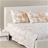 Caleffi Completo Lenzuola Matrimoniale Cotone con Angoli, 2 Federe Biscotto | set parure completa, lenzuolo sopra, sotto e federa, tinta unita, morbido, traspirante, ipoallergenico, per letto