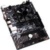 SIMPLETEK - Scheda Madre con Processore integrato dissipato - microATX | 2 x DDR3 + Slot M.2 e SATA | HDMI VGA RS232 PS/2 USB 2.0