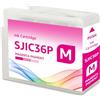 Yongairuink Cartucce d'inchiostro compatibili SJIC36P SJIC36PM Magenta per C13T44C340 per EPN ColorWorks C6000 C6500 Ae Pe (1 Magenta)