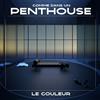 Le Couleur Comme Dans Un Penthouse (Vinyl LP) 12" Album