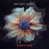 Haven of Echoes Memento Vivere (Vinyl LP)