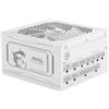 MSI ALIMENTATORE EU, 1000W, FULLY MODULAR, 80 PLUS GOLD, COLOR BOX
