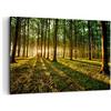 ARTTOR Quadri Moderni su Tela 120x80 cm Stampe da Parete Botanica Paesaggi - 2510 | Foresta Verde Sole Quadro Decorativo Grande XXL 1 pezzo Soggiorno Camera da Letto Arte da Parete Decorazione da Parete ARTTOR