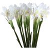 Xidmold Confezione da 4 steli lunghi con fiori di iris in seta artificiale Irlanda Iris Iris Iris Falso fiore per decorazione di nozze, decorazione per la casa e composizioni floreali (bianco)