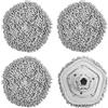 Choonjin 4 Pezzi Teste di Ricambio per Mocio Aspirapolvere Robot Xiaomi Dreame W10/W10 Pro, Accessori per Robot Aspirapolvere, Lavabile Mop Pad, per Tutti i Tipi di Pavimento