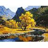 OWN4B - Kit per punto croce su tela prestampata con paesaggio della foresta di OWN4B da 11 ct, 36 x 46 cm, kit per ricamo fai da te (paesaggio)