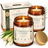ShadowRealmTech Candele Citronella Esterno 2 Pezzi, Candele in Vetro per Giardino Camping Regalo 8oz/227g