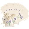 Bgfaquri Confezione da 12 sacchetti per lavanda, vuoti da riempire - sacchetti in tessuto lavanda con cordino di serraggio riutilizzabili - sacchetti profumati per gioielli, spezie, erbe, regali, cassetti