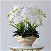 Generic Fiore artificiale in vaso Orchidea artificiale con vaso Grande finta fioritura Phalaenopsis Piante finte bianche