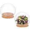 NBEADS 2 Set Campana in Vetro Rotondo con Cupola Trasparente, Base in Sughero, Diametro 10cm, per Fiori, Acquari, Feste di Natale, Ufficio