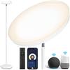 OUTON Smart LED Lampada da terra, 30W / 3000LM Lampada Luminosa, Bianco