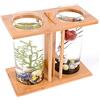 WOLEGM Mini acquario, piccolo acquario in vetro per la scrivania con illuminazione a LED, design a doppio cilindro, acquario Betta, acquario in vetro, acquario a secchio per piccoli pesci come pesci rossi e