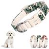 Playexen Collare Cani Gatti Collari Regolabile 25-40 cm in Morbido Velluto a Coste con Cotone per Gatto&Cane Taglia Piccola Media Grande Accessori Collare per Cuccioli Animali Piccola Large 2,0cm(Fiore-Verde)