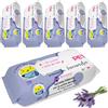 HAND Salviette Igienizzanti per Cani e Gatti, 500 Salviette Umidificate Delicate, 5 Confezioni da 100, per Zampe, Manto e Secrezioni, Pulizia Quotidiana