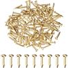 M METERXITY 100 Pezzi Piccoli Chiodini, 1.5mm x 10mm Chiodi Di Precisione In Ottone Testa Tonda Per Legno/DIY Artigianato Decorativo/Accessori Casa/Appendi Quadri