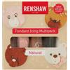 Renshaw Fondant Icing Multipack Natural Colours 5 x 100 g, Pronto per Stendere, per Ricoprire e Decorare Torte, Cupcake e Biscotti, 5x100 g