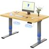 FLEXISPOT Scrivania Regolabile in Altezza Elettrica a 3 Sezioni con 2 Motori, 120×60 cm Piano Unico da 25 mm Certificato FSC, Controller a 4 Memorie, per Casa e Ufficio