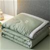 Highdi Piumino Estivo Matrimoniale, Sistema di Colori Freddi Microfibra Extra Morbido Trapunta Matrimoniale, Bedding Piumino, Piumone Leggero per Tutte Le Stagioni (180x220cm,Verde)