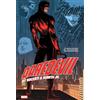 Marvel Universe Daredevil By Nocenti & Romita Jr. Omnibus Vol. 2 John Romita Jr. Cover