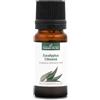 La Compagnie des Sens EUCALIPTO LIMONE BIO - 10mL - Olio Essenziale di Qualità Premium - 100% Puro, Naturale, certificato ChromaCert® - Chemotipato e Integrale
