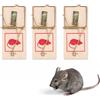 Kinzo Trappole per Topi Set da 3 Pezzi - Trappola con Meccanismo a Scatto - Controllo dei Parassiti per Topi - Repellente per Topi - Legno