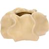 Thun Coprivaso Beige Piccolo, Stoneware, Collezione Mare da Amare, 13 x 13 x 7 cm