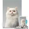 JIANGENNF Puzzle per adulti da 1000 pezzi con ritratto di gatto persiano bianco gioco divertente attività per famiglie compleanno e Natale 38x26cm