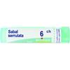BOIRON Srl Boiron Sabal Serrulata 6CH Granuli Omeopatici Tubo da 4g