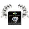CLAR - Lampadina alogena da 12 V, 50 W, lampadine alogene, MR16, GU5.3